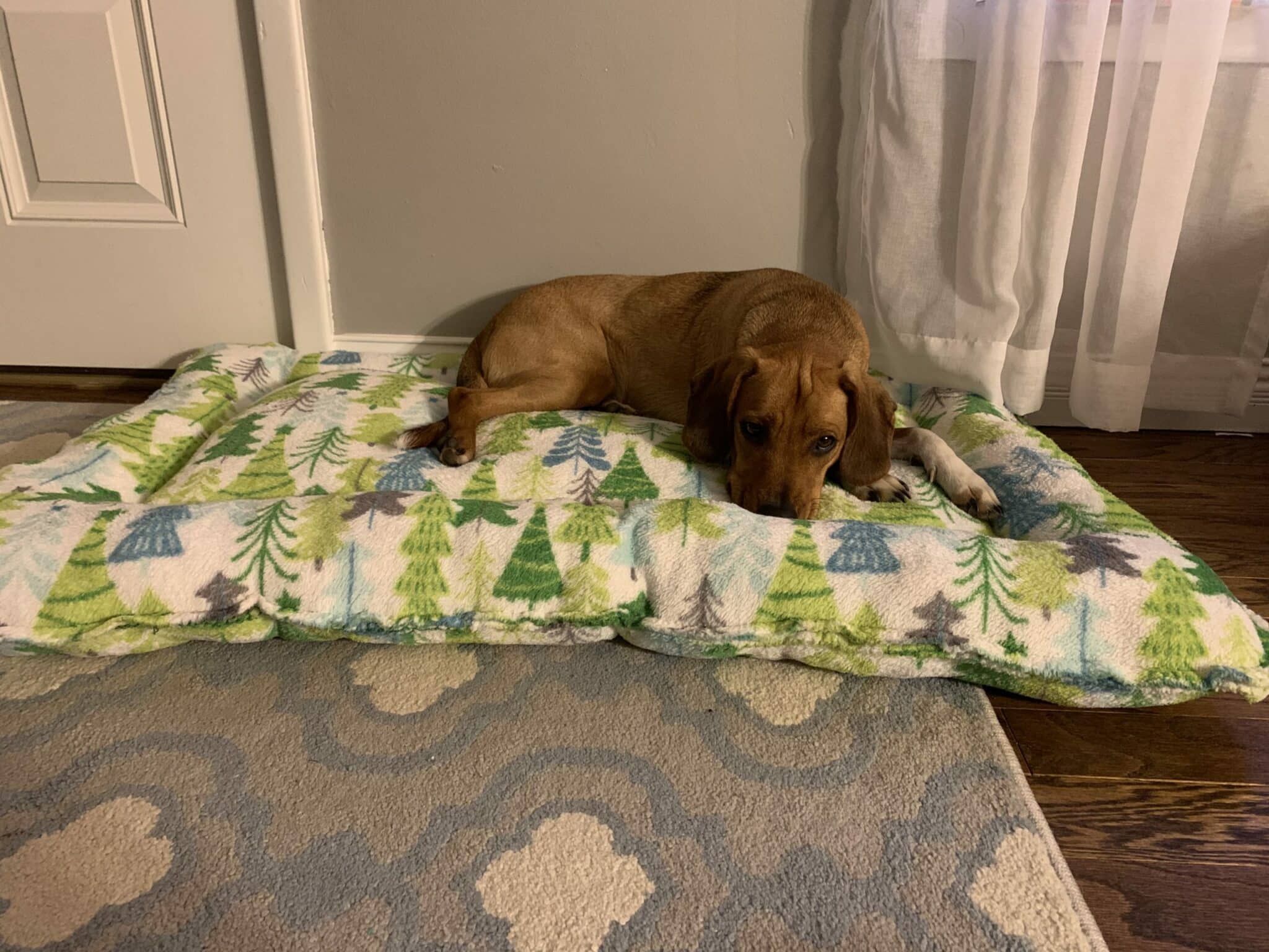 DIY Pet Bed - 5 out of 4 Patterns